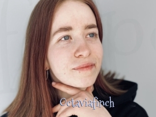 Octaviafinch