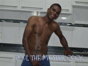 POOL_THE_MOSTER_COCK