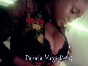 Pamela_Mega_Boobs