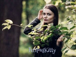 Perilous_Kitty