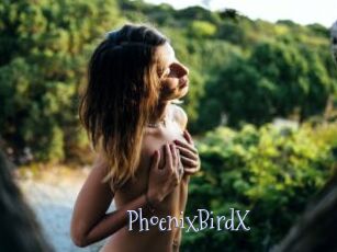 PhoenixBirdX