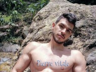 Pierre_vitale