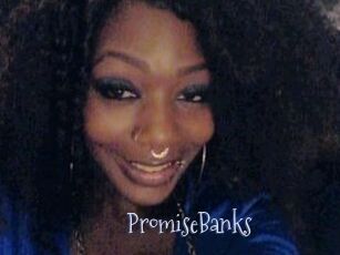 PromiseBanks