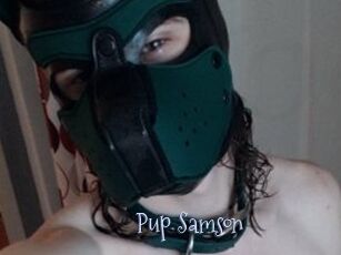 Pup_Samson