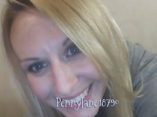 Pennylane18790