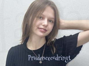 Prudencecodringt