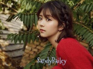 SandyBailey