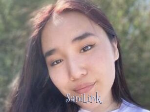 SaniLink