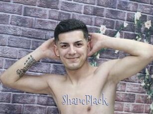 ShaneBlack