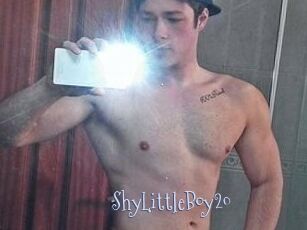 ShyLittleBoy20