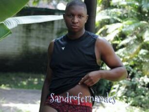 Sandrofernandes