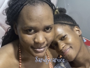 Sandycanice