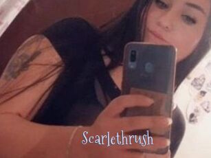 Scarlethrush