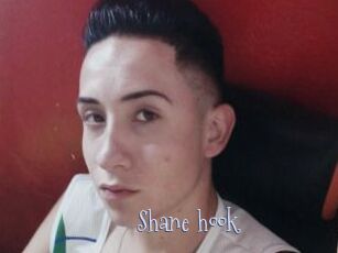 Shane_hook