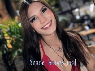 Shanel_bunny_real