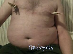 Slaveboy3164