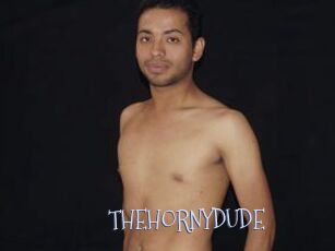 THEHORNYDUDE