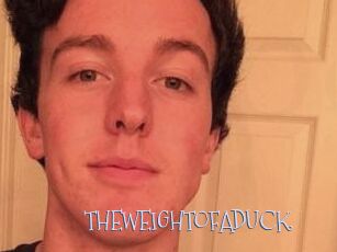 THEWEIGHTOFADUCK