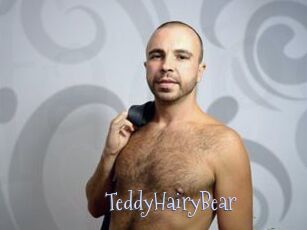 TeddyHairyBear