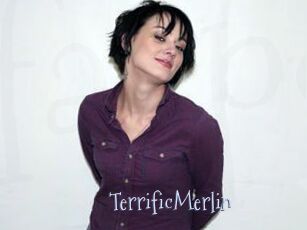 TerrificMerlin