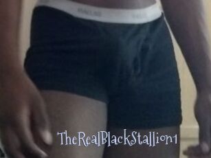 TheRealBlackStallion1