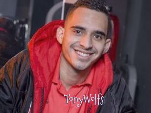 TonyWolfs