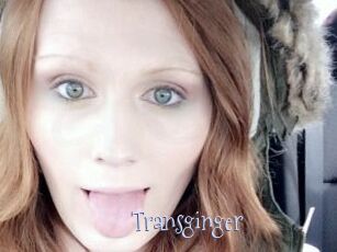 Transginger