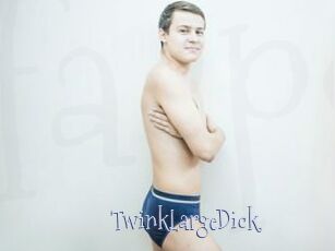 TwinkLargeDick