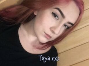 Taya_exe