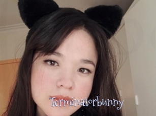 Terminatorbunny