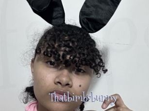 Thatbimbobunny