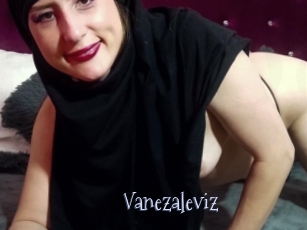 Vanezaleviz