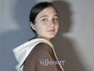 Vellumurr