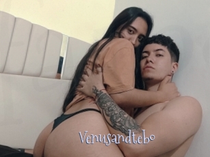 Venusandtebo