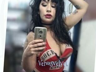 Venusvelvet