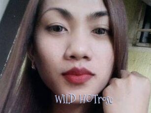 WILD_HOTrose