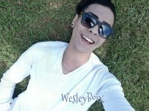 Wesley_Boix