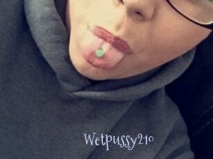 Wetpussy210