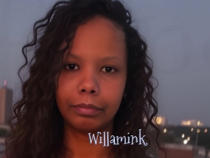 Willamink