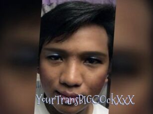 YourTransBIGCOckXxX