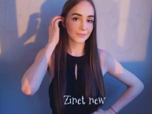 Zinet_new