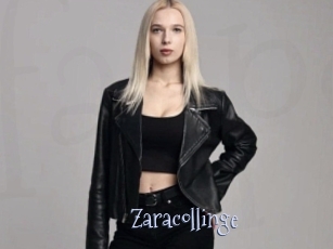 Zaracollinge