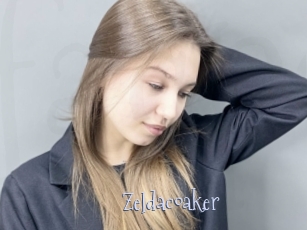 Zeldacoaker